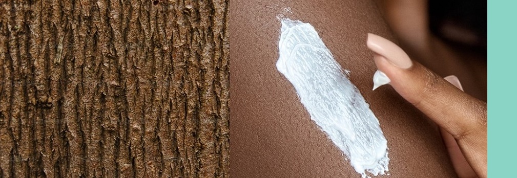 Velific tree and creme banner