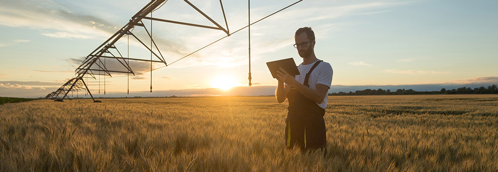 Farmer with table in wheat field