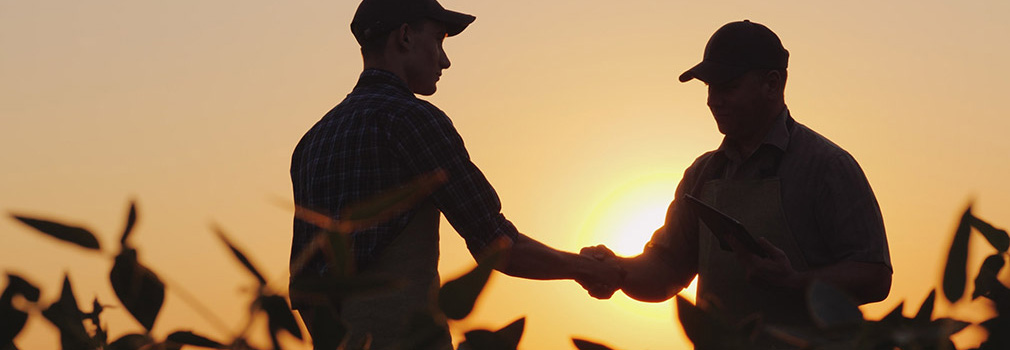 silhouette of two farmers shaking hands in a field