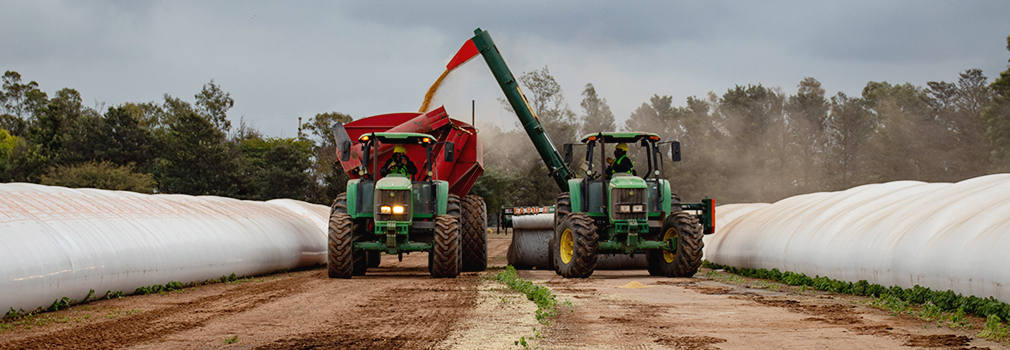 tractor hauling harvest palm through forest