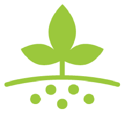 NUTRIENT MANAGEMENT 03 green