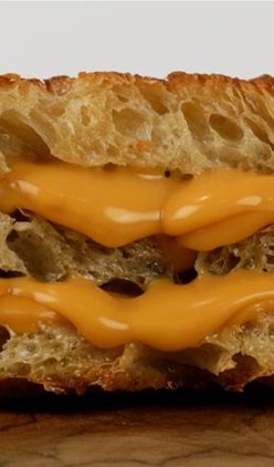 Grilled cheese sandwich close up