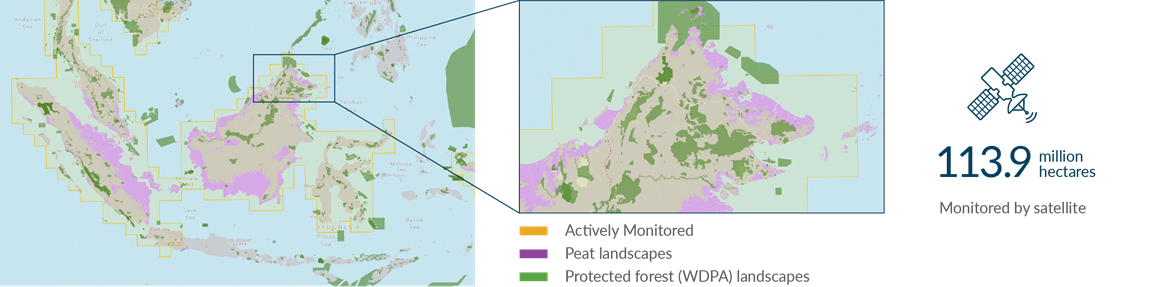 Mapping and monitoring palm