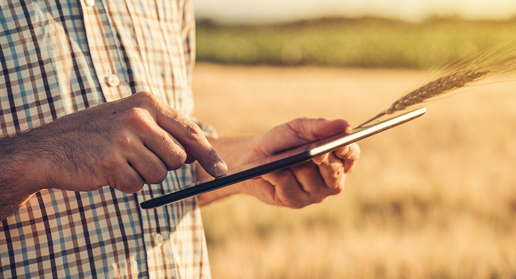 farmer holding tablet