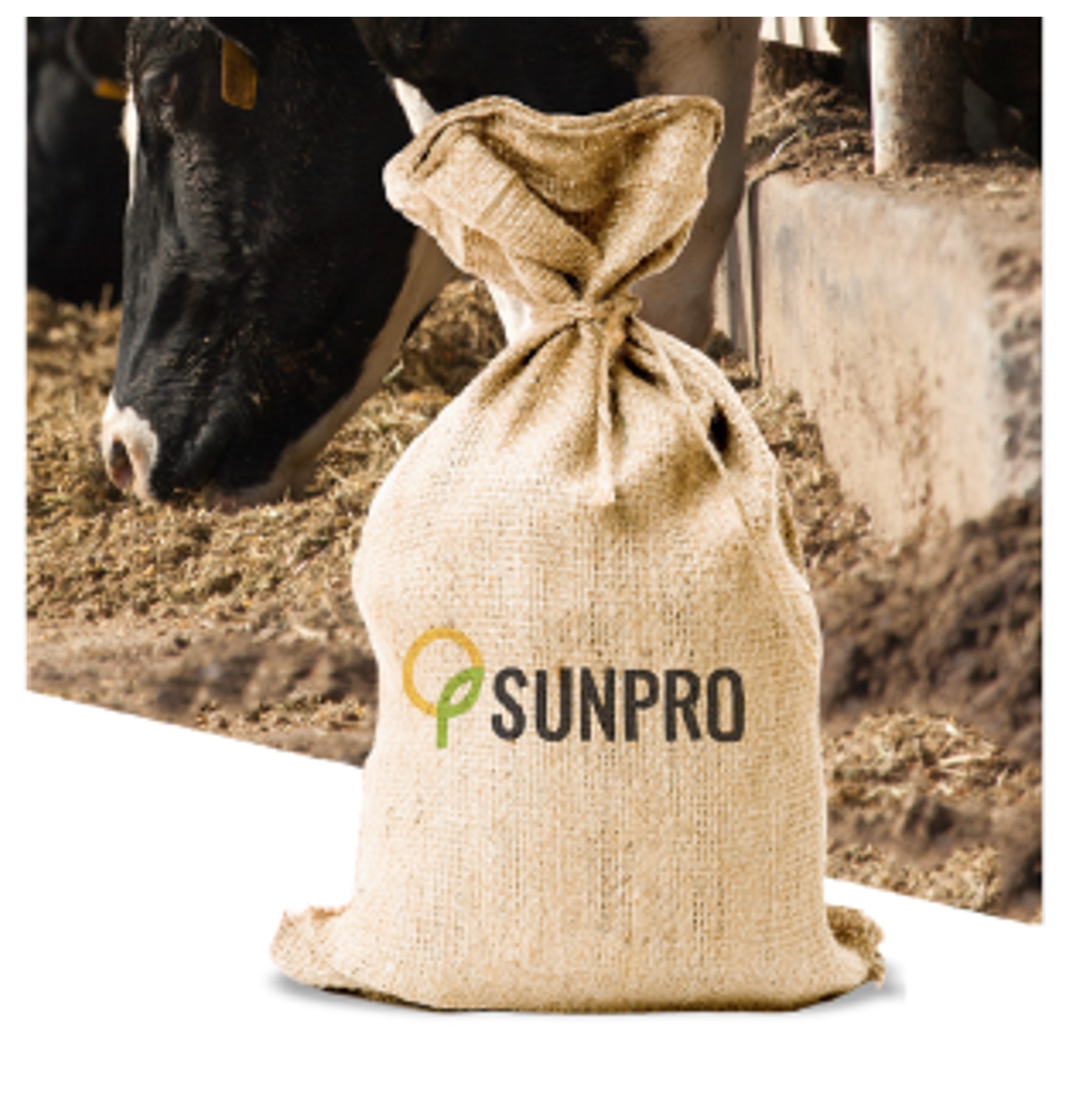 SunPro
