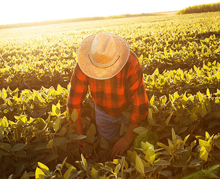 farmer kneeling in field