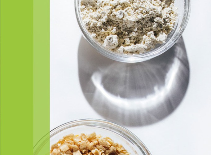 two small glass bowls full of powdered protein concentrate