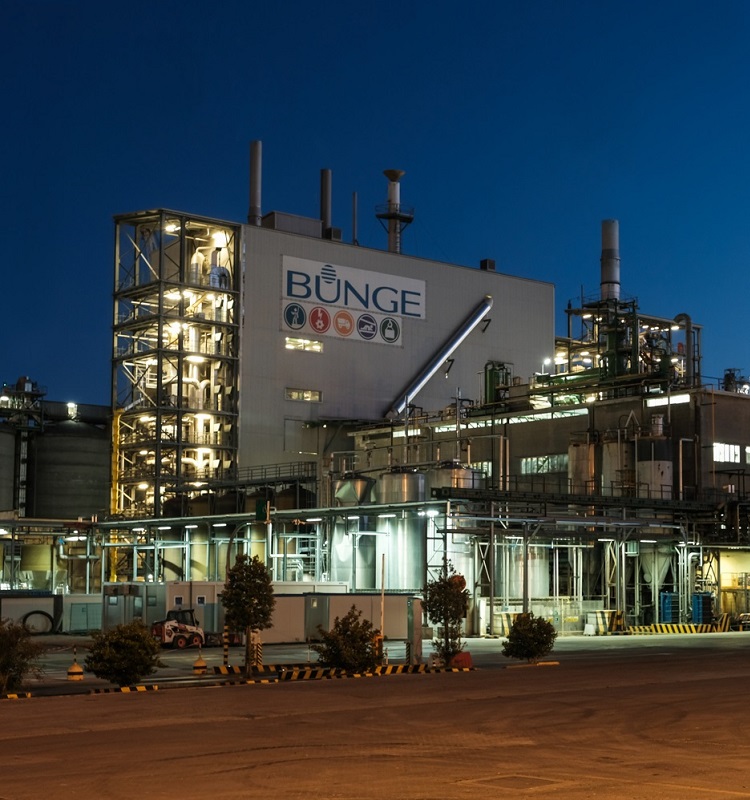 Bunge Facility in Porto Corsini at night