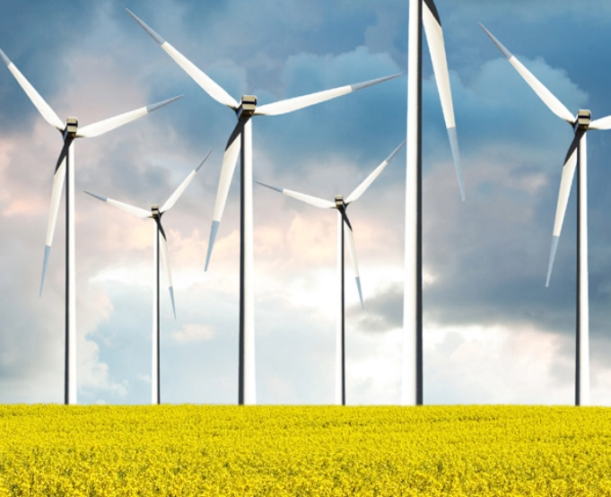 Wind turbines in a field of crops