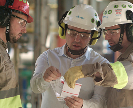 Colaboradores en la planta