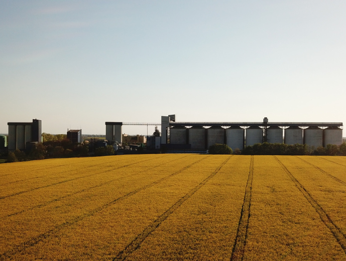 Zakład w Kruszwicy - widok z grona