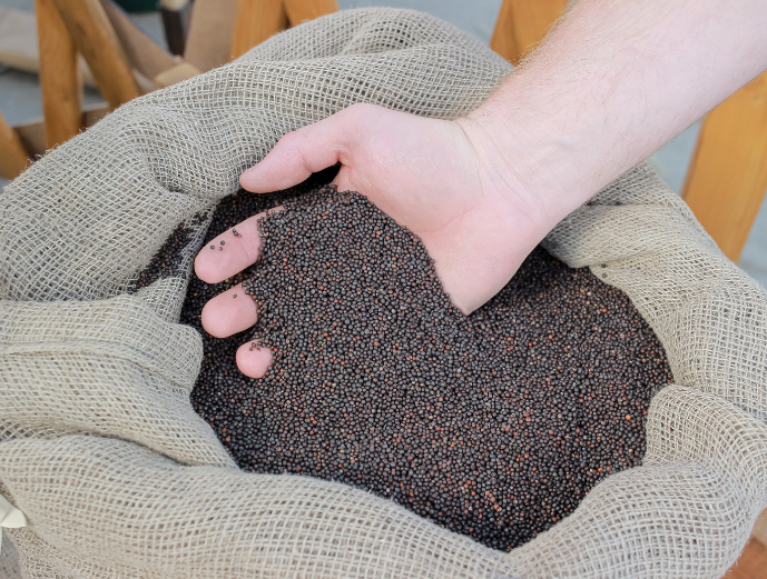 bag of rapeseed