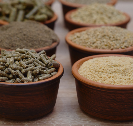 Pojemniki z rodzajami pasz