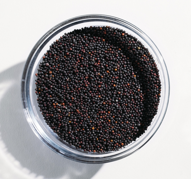 Bowl of Rapeseed Seeds